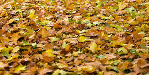 Avoid ‘Falling’ Behind with Insight Tech
